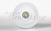 LTD-80R-Opal-Roll 2x3W Warm White - 1